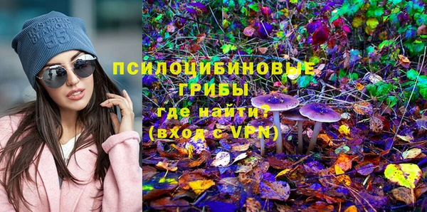 2c-b Алексин