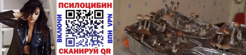 Галлюциногенные грибы ЛСД  Тула 