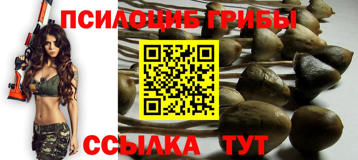 Псилоцибиновые грибы Cubensis  Вход с VPN  Тула  Галлюциногенные грибы прущие грибы 