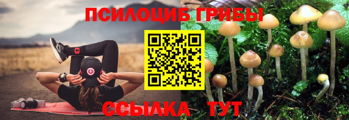 Псилоцибиновые грибы MAGIC MUSHROOMS Тула